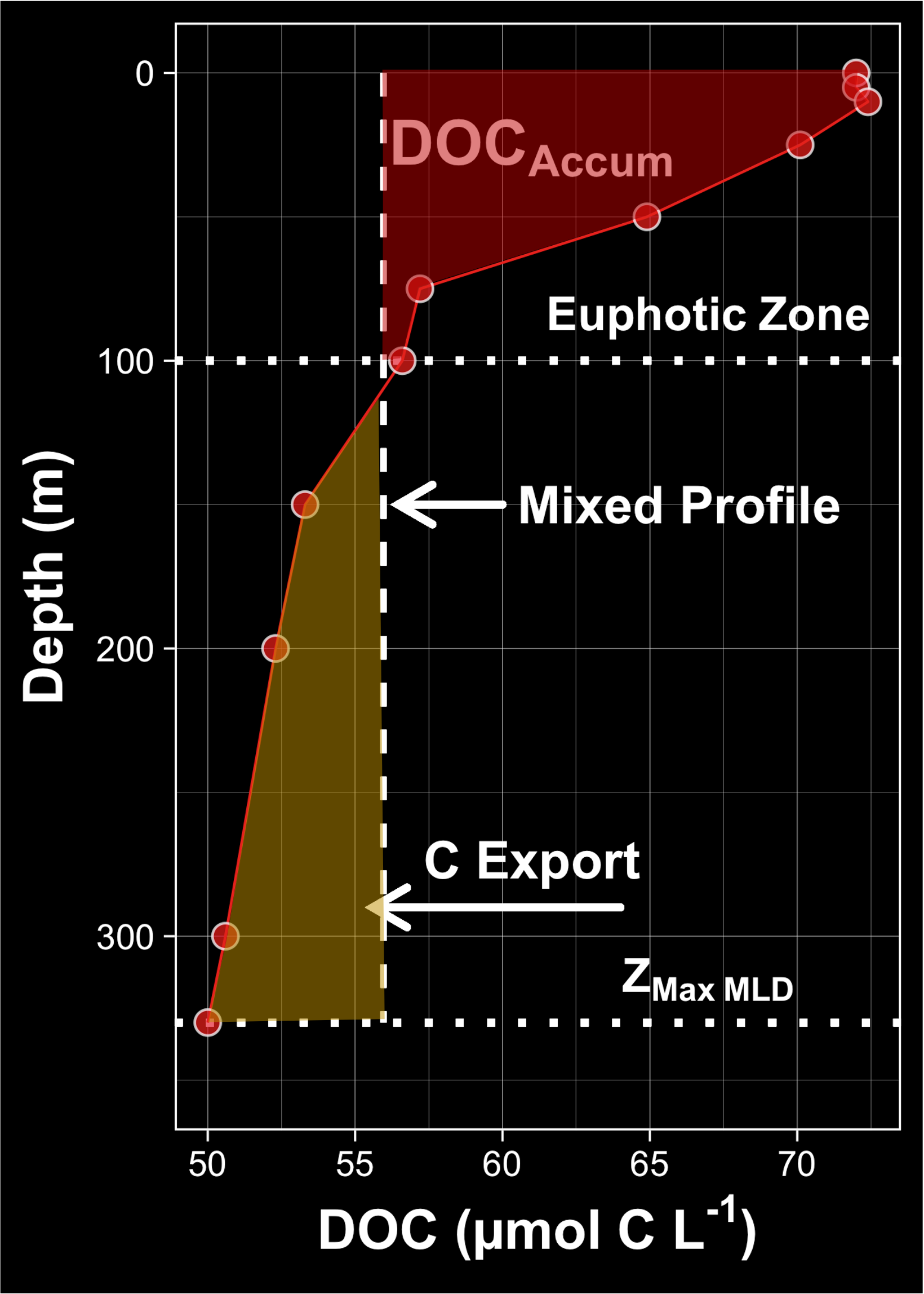 Vertical profile of DOC from the surface to the annual maximum mixed layed depth (Z~MLD~). The red shaded area indicates the accumulation of DOC in the sunlit euphotic zone prior to deep mixing, while the yellow shaded area indicates the DOC exported into the mesopelagic upon deep mixing. The ability to estimate Z~MLD~ from ARGO floats allowed us to contextualize our discrete biogeochemical measurements and evaluate DOC export.