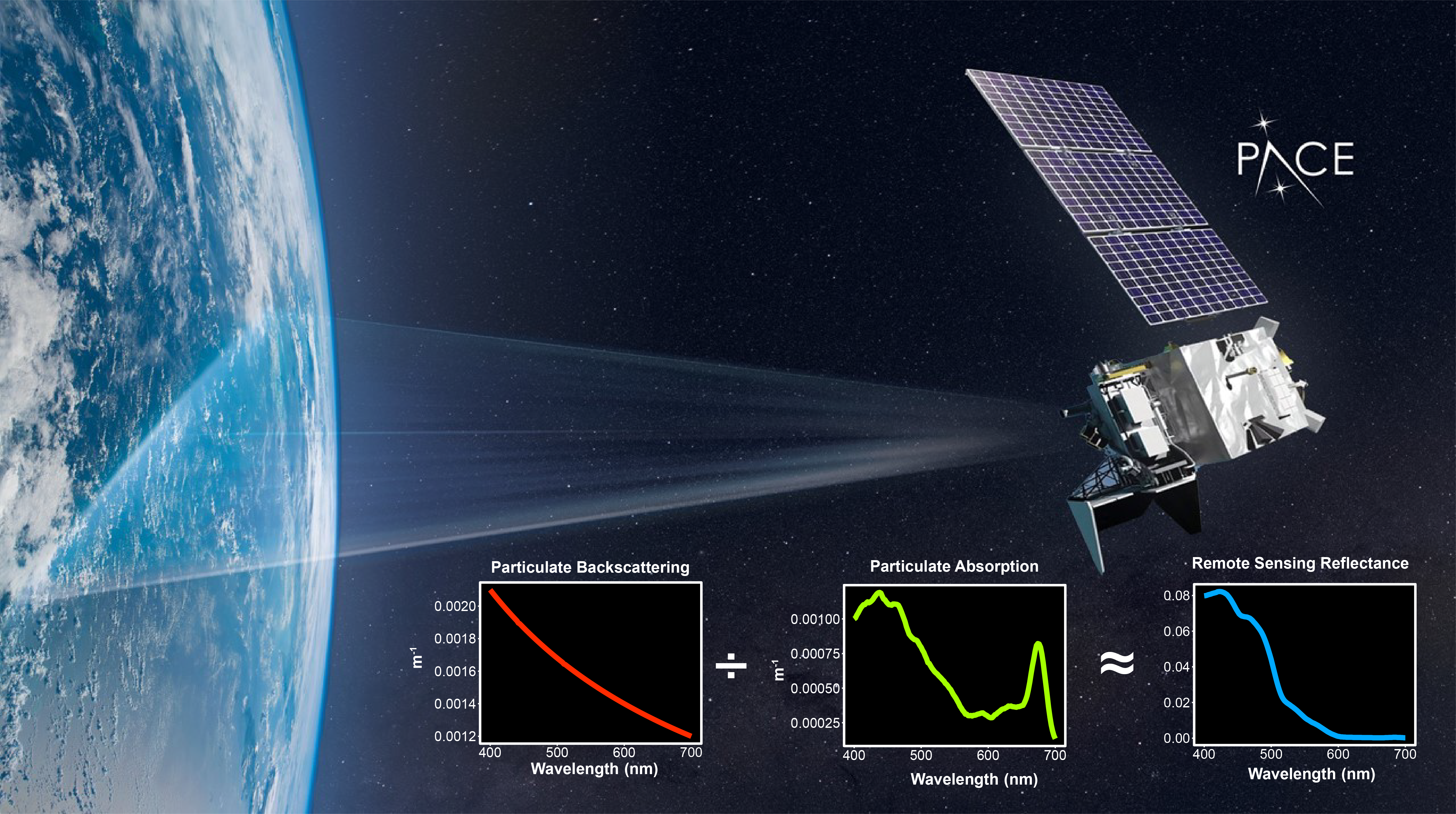 Remote sensing reflectance (rrs) represents light detected by ocean color satellites, including the NASA Plankton, Cloud, Aerosol, and ocean Ecosystem (PACE) mission. Because rrs is impacted by the absorption and scattering of light by phytoplankton, it can be sensitive to variability in phytoplankton bio-optical properties that occur across species and over the day night cycle.